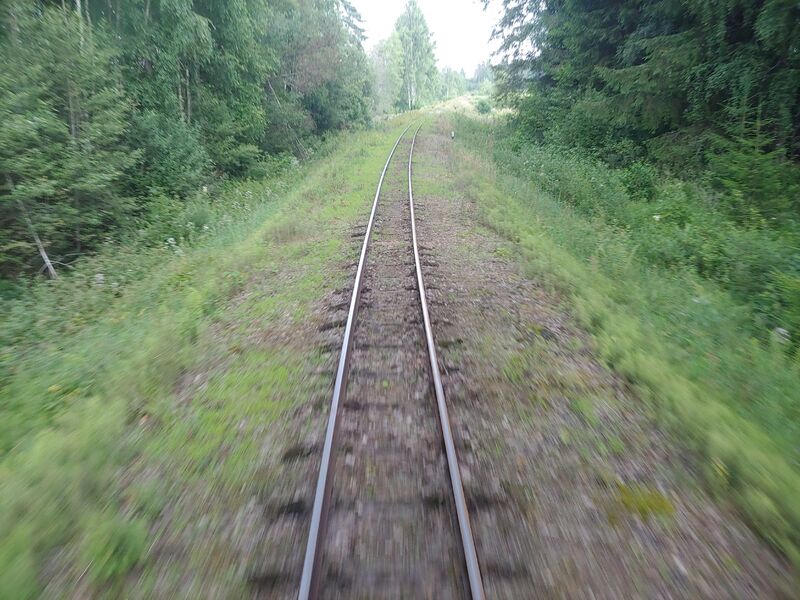 20220719_163614_HDR.thumb.jpg.ae5034aeb2aae3c7f1e0cff3b4478101.jpg