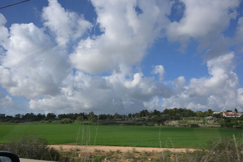 ABG_9007.JPG