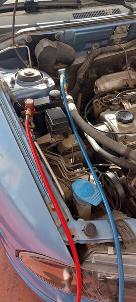 20240510_080954.jpg