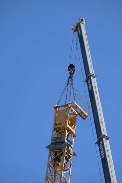 ABG_1250.JPG