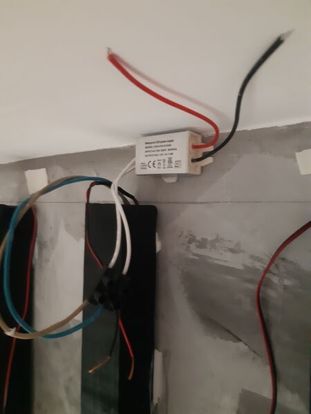 20240628_163108.thumb.jpg.68dabeb06923287982c2396b328a5ac9.jpg
