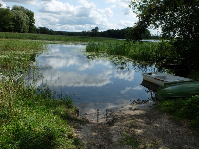 DSCF6448.thumb.JPG.a1fce52e08c5d72f0d4fa49d029868ce.JPG