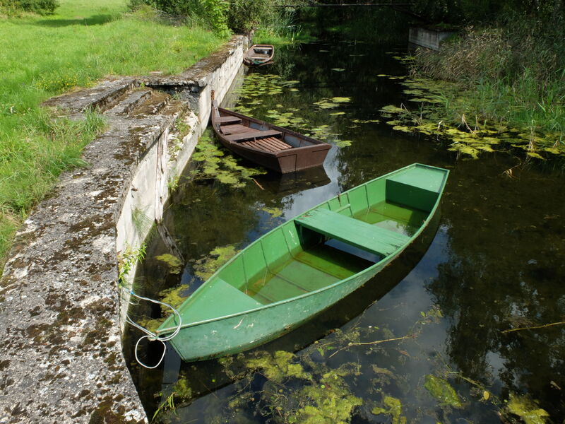 DSCF6451.thumb.JPG.b6012d7d2ea5f51cfb8ed18b6e4b85d6.JPG