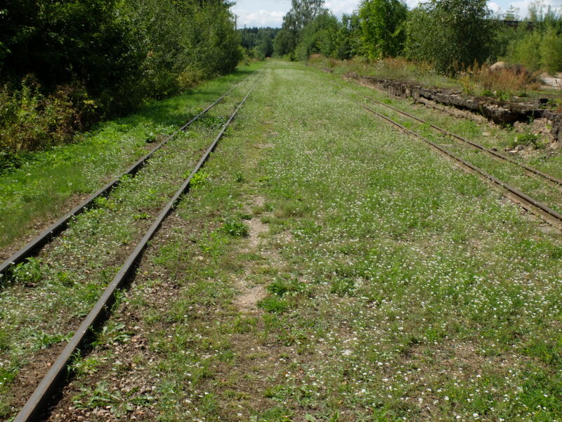 DSCF6497.thumb.JPG.5818d27f5f203d36881ff03a27ae90e2.JPG