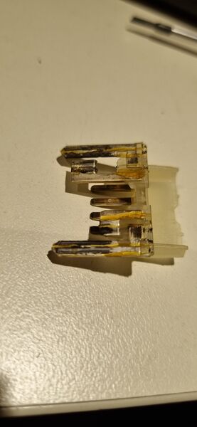 20240717_213708.thumb.jpg.c96e3679cff3bd97fa2cbbf4ed1166ed.jpg