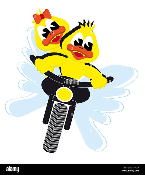 engine-drive-motor-illustration-duck-riding-cartoon-bike-bicycle-cycle-J70EAB.jpg