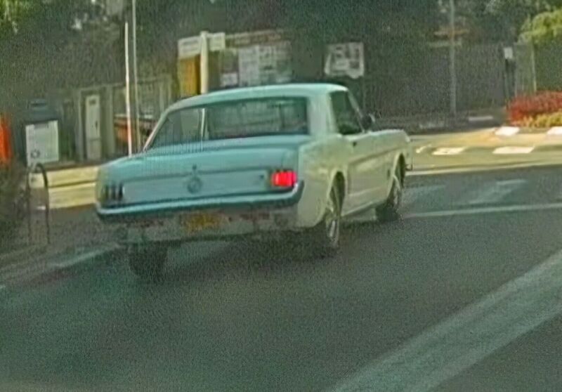 B_20241216101235.jpg