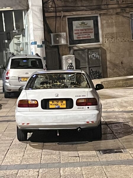 IMG_2892.jpeg