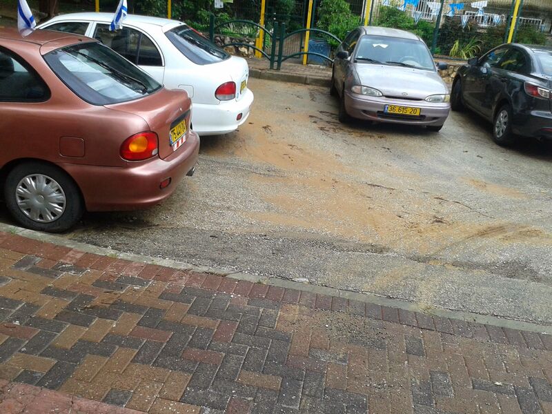 20140508_120254-1.jpg