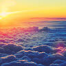 AviMits
