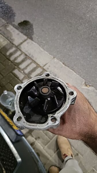 IMG-20250601-WA0007.jpeg