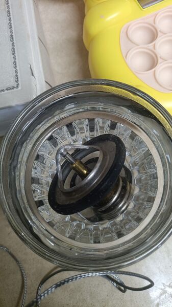 IMG-20250603-WA0006.jpeg