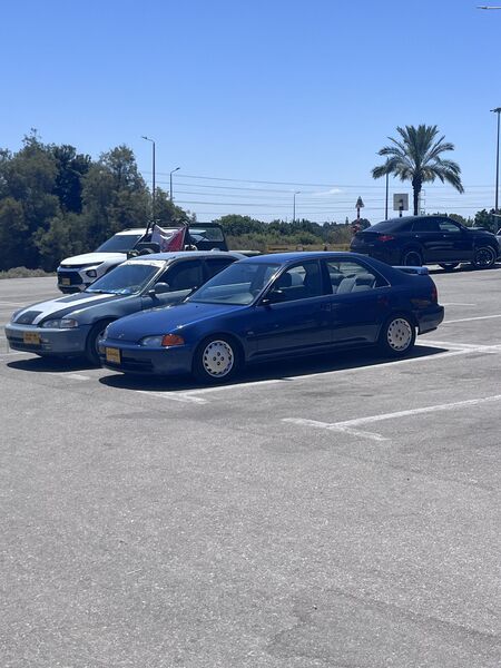 IMG_6008.jpeg