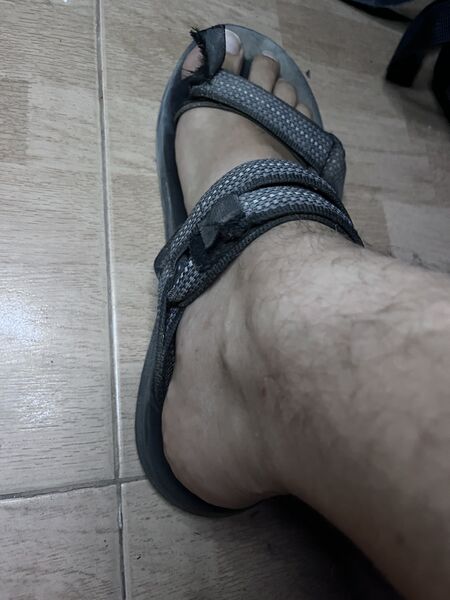 IMG_6309.jpeg