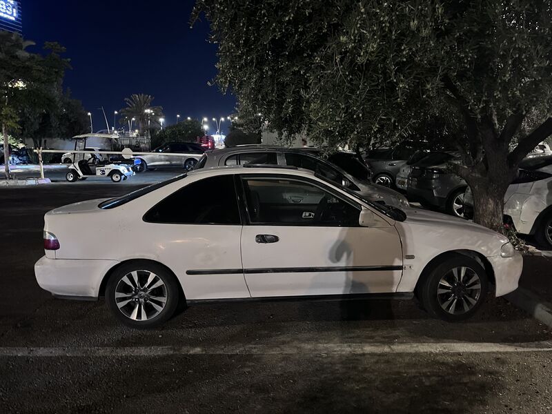 IMG_6724.jpeg