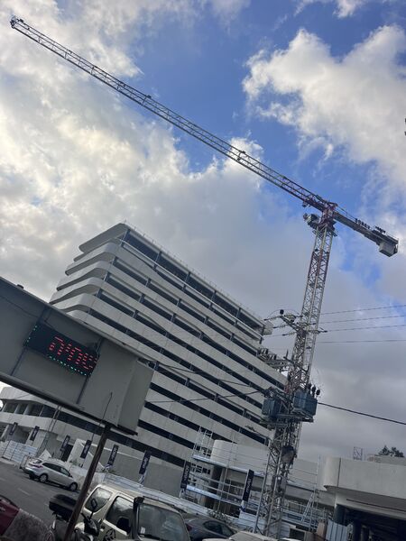 IMG_6937.jpeg