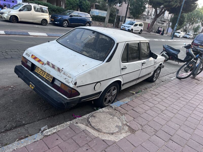 IMG_7339.jpeg