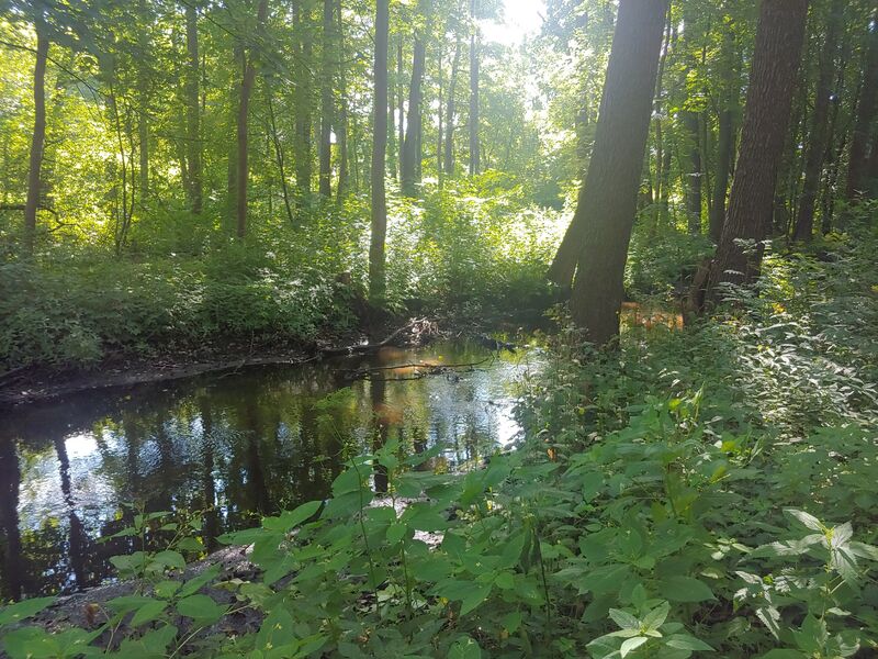 20220725_110735_HDR.thumb.jpg.b31d0e10e53c7256e30a74ac009ac455.jpg