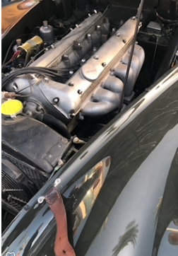 image.png.071d7a13672aff5aeb03c7e7d137e2f5.png