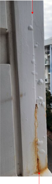 image.thumb.png.d16d6d78df588446ac87163ad701262e.png