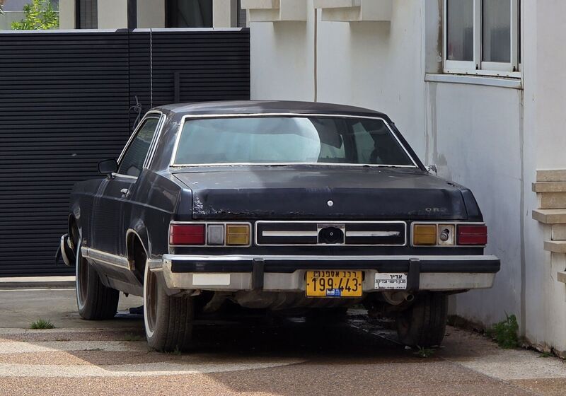 20260325_130041.thumb.jpg.b77d243a266794d1d6e70e934fc9bf21.jpg