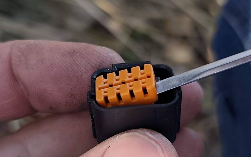24.thumb.jpg.2fde36eaf3207052e382da9e2e1800d3.jpg