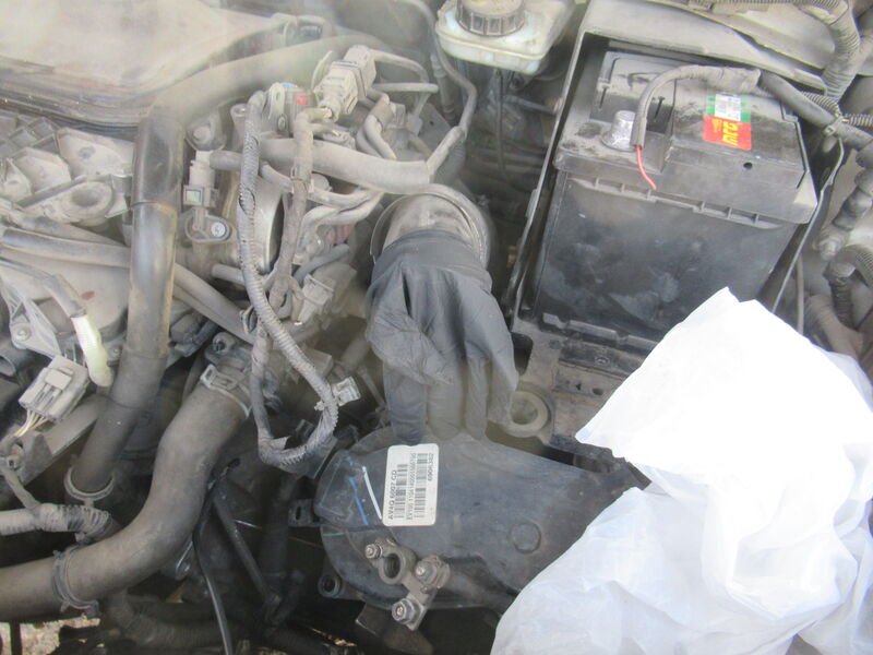 IMG_2433.thumb.JPG.3d4a83bdacdd9c63c9e21725b52aeaeb.JPG