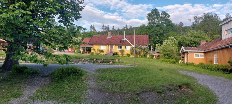 20260606_201057.jpg