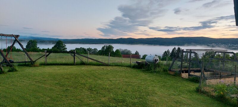 20260611_032711.jpg