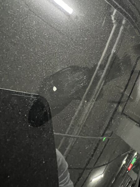IMG_5904.thumb.jpeg.8c81e50456c8cdaf7cbea8d116b80314.jpeg